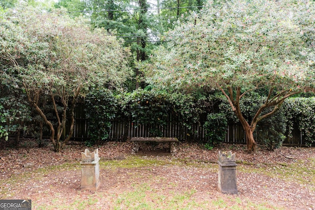 view of yard with fence