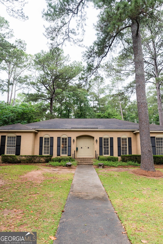 ranch-style home featuring driveway, a front yard, and stucco siding