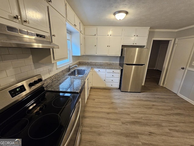 2860 Cocklebur Cove Ct, Decatur, GA 30034 - kitchen featuring stainless steel appliances, a sink, under cabinet range hood, white cabinets, and ornamental molding