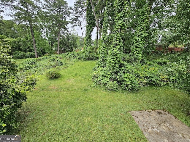 2860 Cocklebur Cove Ct, Decatur, GA 30034 - view of grassy yard