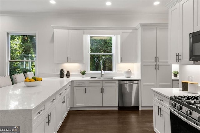 1260 Heards Ferry Rd, Sandy Springs, GA 30328 - kitchen featuring stainless steel appliances, a sink, crown molding, plenty of natural light, and white cabinetry