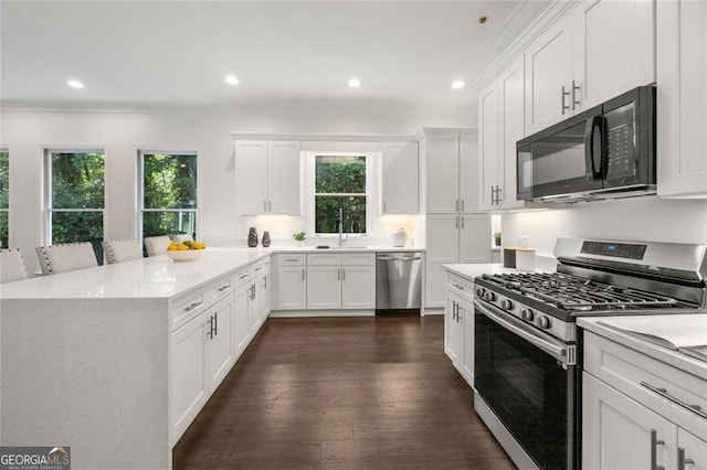 1260 Heards Ferry Rd, Sandy Springs, GA 30328 - kitchen with appliances with stainless steel finishes, a sink, a peninsula, crown molding, and white cabinets