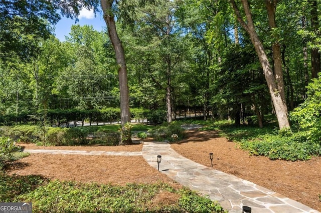 1260 Heards Ferry Rd, Sandy Springs, GA 30328 - view of property's community