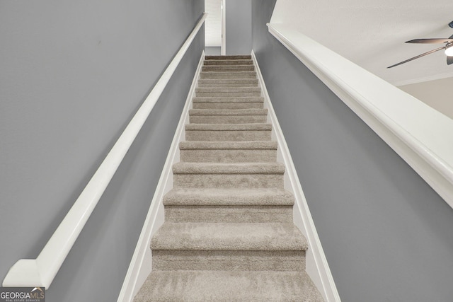556 Poplar Bnd, Canton, GA 30114 - stairs featuring ceiling fan and carpet