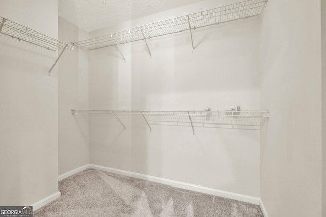 556 Poplar Bnd, Canton, GA 30114 - walk in closet featuring light colored carpet