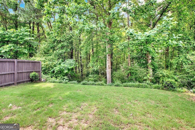 556 Poplar Bnd, Canton, GA 30114 - view of yard