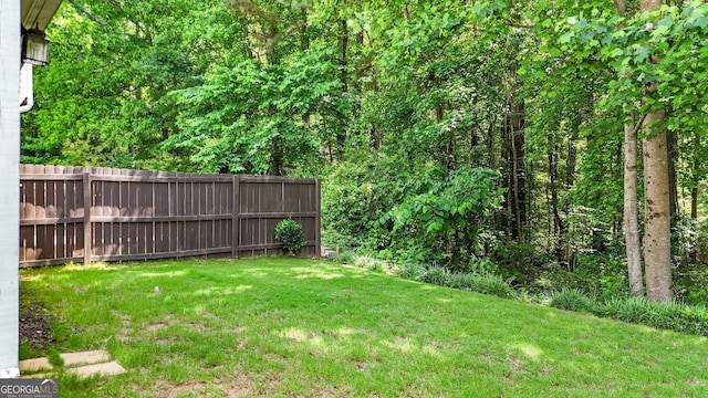 556 Poplar Bnd, Canton, GA 30114 - view of yard