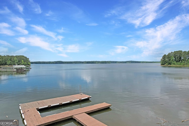 121 Hidden Springs Dr, Lagrange, GA 30240 - dock with a water view