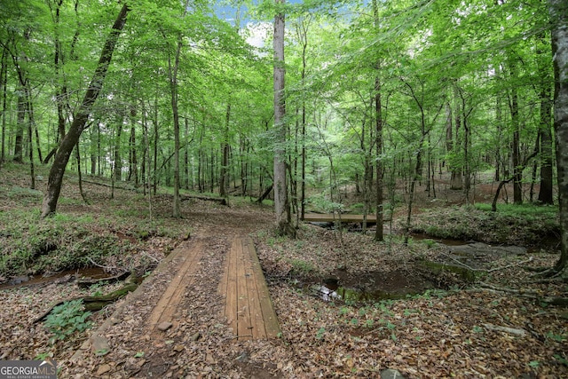 121 Hidden Springs Dr, Lagrange, GA 30240 - view of wooded area