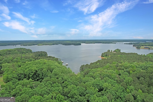 121 Hidden Springs Dr, Lagrange, GA 30240 - aerial view of a forest and a nearby body of water