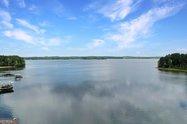121 Hidden Springs Dr, Lagrange, GA 30240 - water view