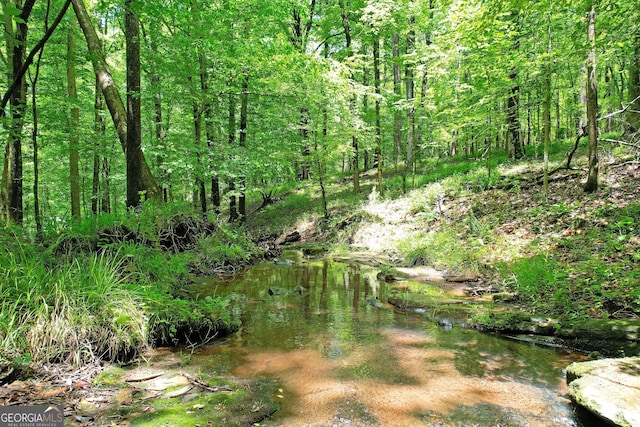 121 Hidden Springs Dr, Lagrange, GA 30240 - view of local wilderness