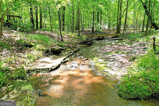 121 Hidden Springs Dr, Lagrange, GA 30240 - view of undeveloped land