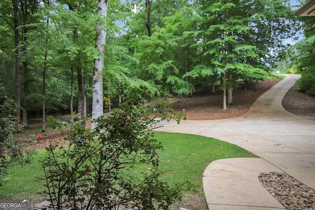 121 Hidden Springs Dr, Lagrange, GA 30240 - view of yard