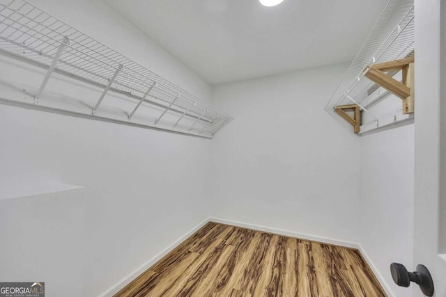 spacious closet with wood finished floors