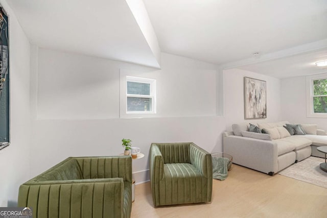 living room featuring wood finished floors