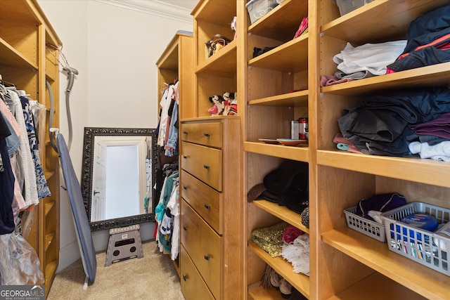 19410 Ga Highway 169, Claxton, GA 30417 - spacious closet featuring carpet flooring