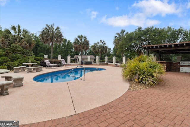 19410 Ga Highway 169, Claxton, GA 30417 - community pool featuring an outdoor kitchen, a patio, and grilling area