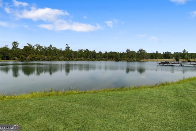 19410 Ga Highway 169, Claxton, GA 30417 - water view featuring a heavily wooded area