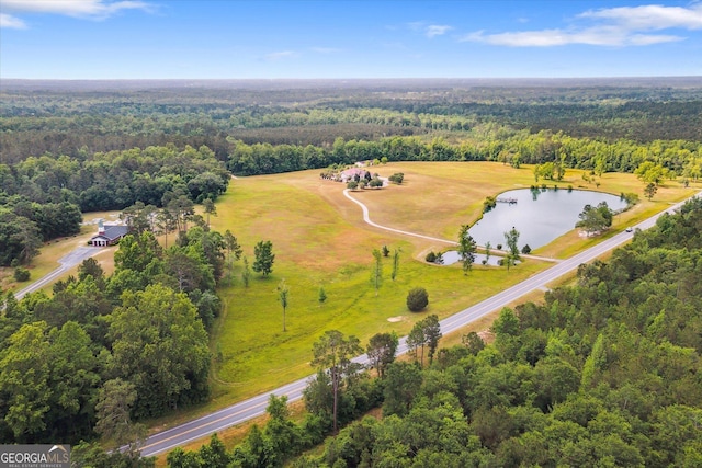 19410 Ga Highway 169, Claxton, GA 30417 - drone / aerial view of a heavily wooded area and a large body of water