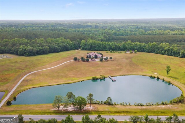 19410 Ga Highway 169, Claxton, GA 30417 - bird's eye view of a large body of water and a heavily wooded area