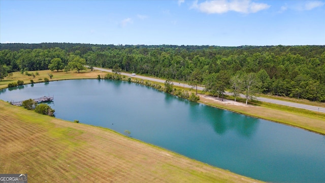 19410 Ga Highway 169, Claxton, GA 30417 - drone / aerial view of a forest and a nearby body of water