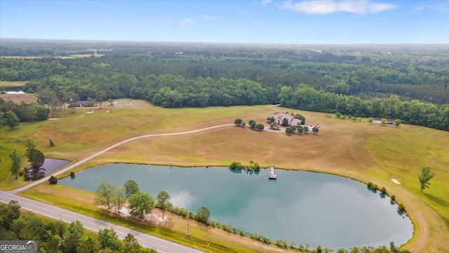 19410 Ga Highway 169, Claxton, GA 30417 - aerial view of a large body of water and a heavily wooded area