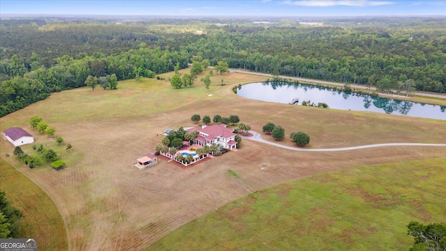 19410 Ga Highway 169, Claxton, GA 30417 - aerial view of a forest and a large body of water