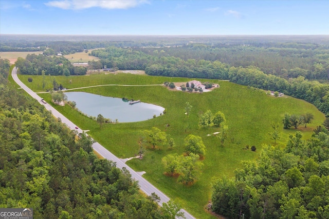 19410 Ga Highway 169, Claxton, GA 30417 - bird's eye view of a heavily wooded area