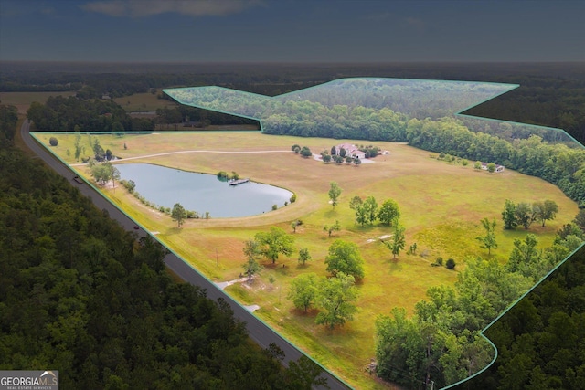 19410 Ga Highway 169, Claxton, GA 30417 - bird's eye view of a forest and a large body of water