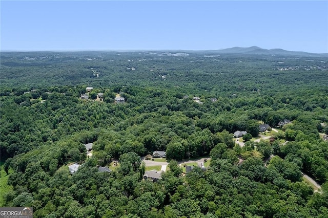 1016 Redfield Way, Jasper, GA 30143 - drone / aerial view of a forest