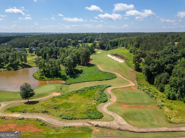 106 Chase Ln, Forsyth, GA 31029 - drone / aerial view of a nearby body of water and a forest