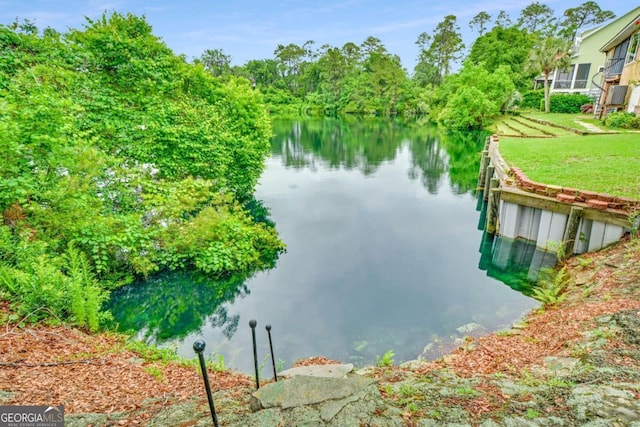 175 Palmera Ln, Brunswick, GA 31525 - water view