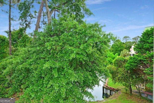 175 Palmera Ln, Brunswick, GA 31525 - view of undeveloped land