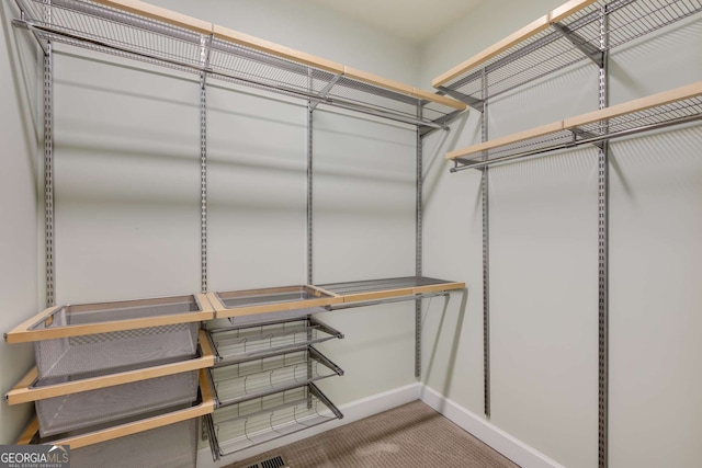 210 Wentworth Ter, Alpharetta, GA 30022 - spacious closet with carpet flooring