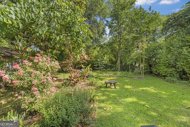 view of green lawn