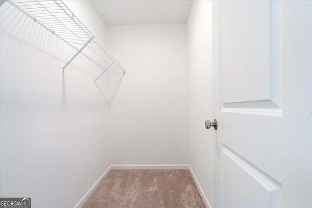 1309 Bennett Creek Ovlk, Suwanee, GA 30024 - spacious closet with carpet floors