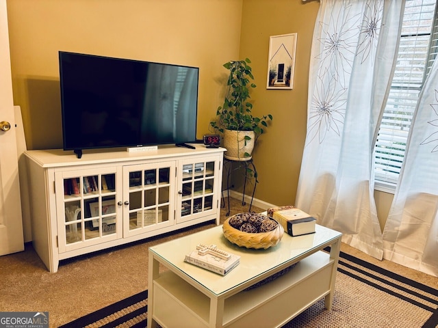 486 Village Cir, Stockbridge, GA 30281 - detailed view of carpet floors