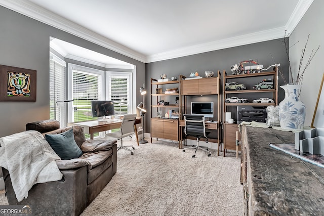 office space with ornamental molding and light colored carpet