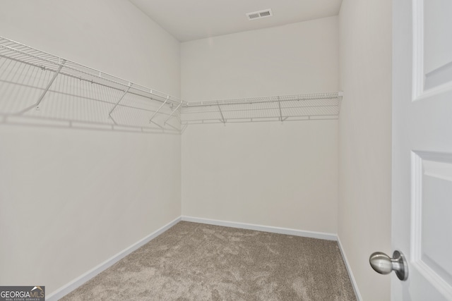 walk in closet with carpet