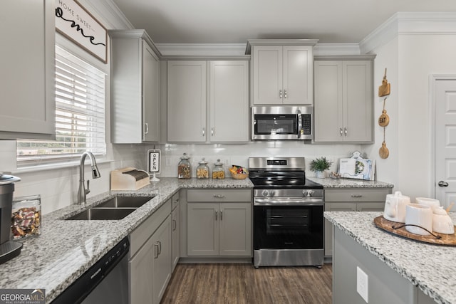 kitchen featuring stainless steel appliances, a sink, gray cabinetry, dark wood-type flooring, and crown molding