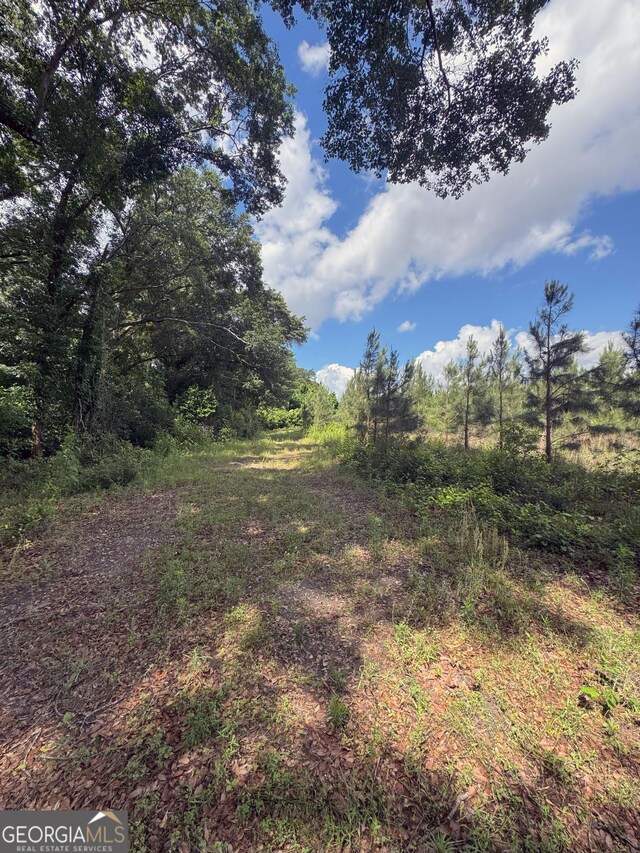 TBD2 Cumbie Rd, Climax, GA 39834