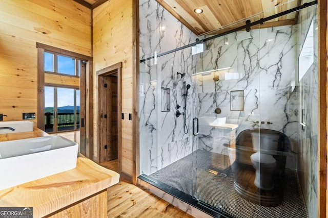 885 Tower Rd, Mineral Bluff, GA 30559 - full bathroom with a marble finish shower, toilet, wood finished floors, a sink, and recessed lighting