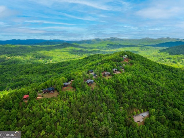885 Tower Rd, Mineral Bluff, GA 30559 - drone / aerial view of a forest and mountains