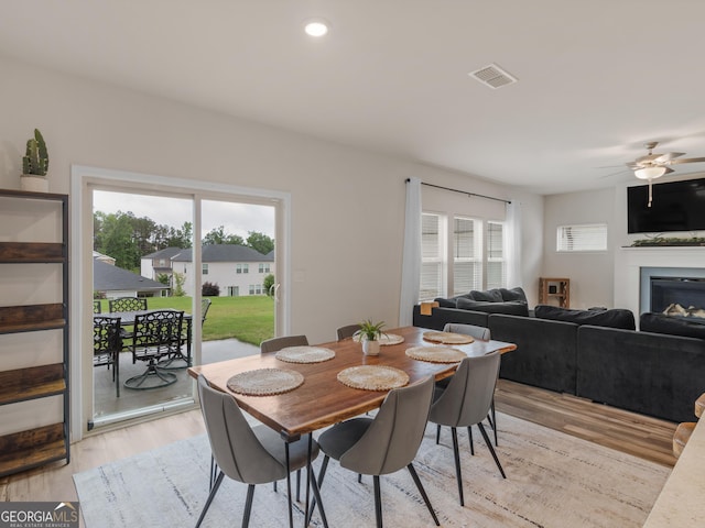 dining space featuring ceiling fan, light wood-type flooring, and a glass covered fireplace