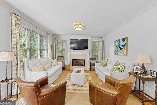 2332 Autumn Maple Dr, Braselton, GA 30517 - living room featuring crown molding and a fireplace