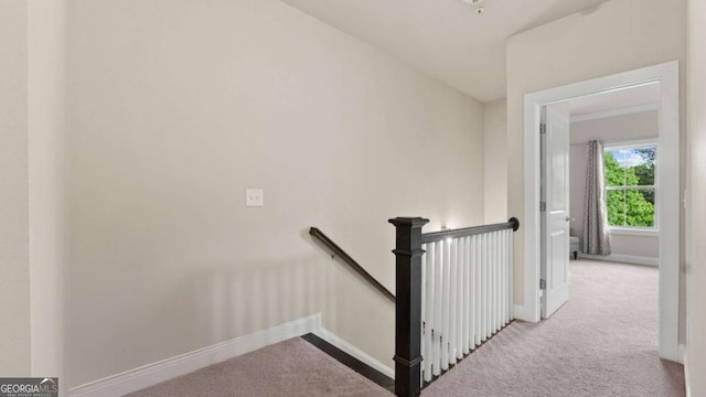 1914 Forte Ln, Alpharetta, GA 30009 - staircase featuring carpet floors and baseboards