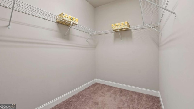 1914 Forte Ln, Alpharetta, GA 30009 - walk in closet with carpet floors