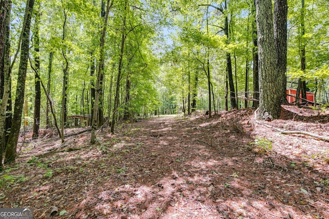 view of tree filled area