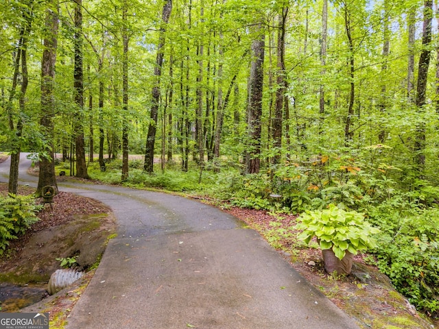 view of street with a view of trees